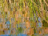 Africa 173 : Africa, Botswana, Nature, Okavango, Papyrus, Reflection, Vumbura Plains, Water Ripples